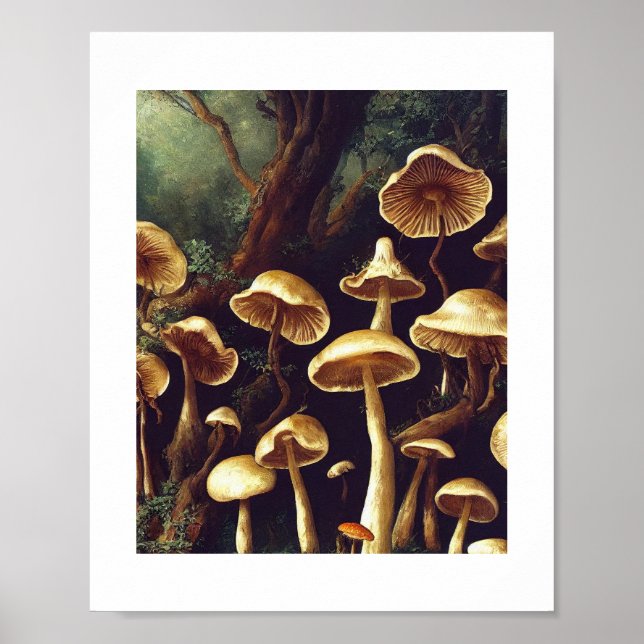 Pilze Poster (Vorne)