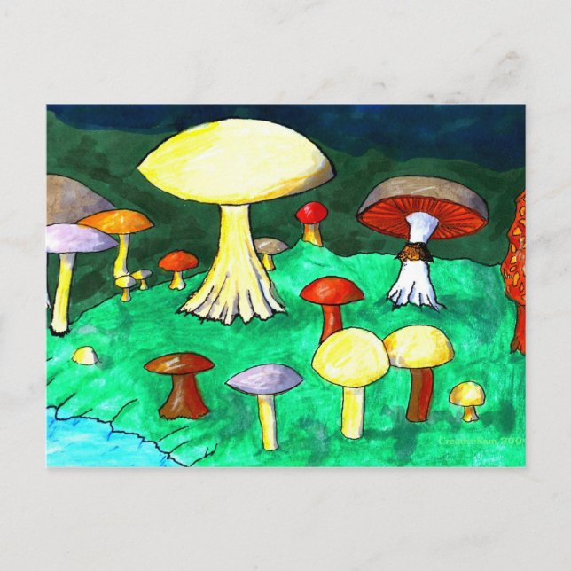 Pilze Postkarte (Vorderseite)