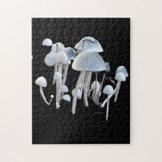 Pilze Puzzle