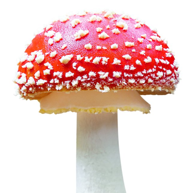 Pilze Schürze (Von Creator hochgeladen)