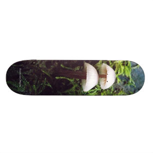 Pilze Skateboard
