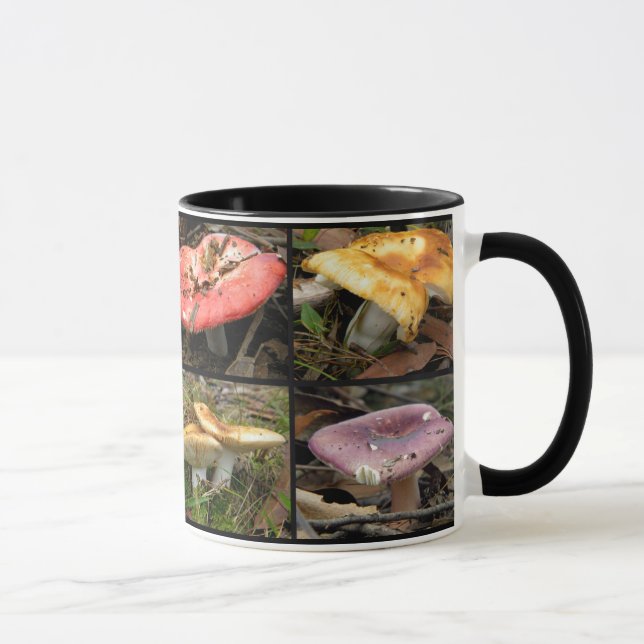 Pilze Tasse (Rechts)