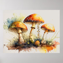 Pilze Toadstool, Amanita muscaria