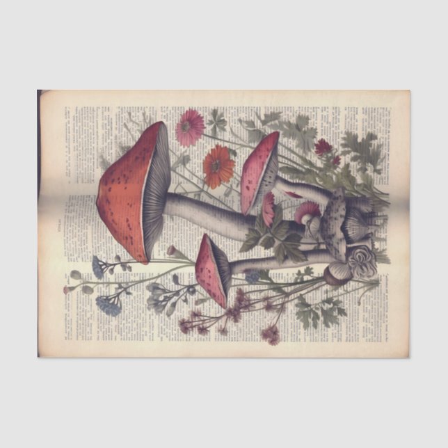 Pilze und Blume zur Illustration des Buchtextes Seidenpapier (Vorderseite)