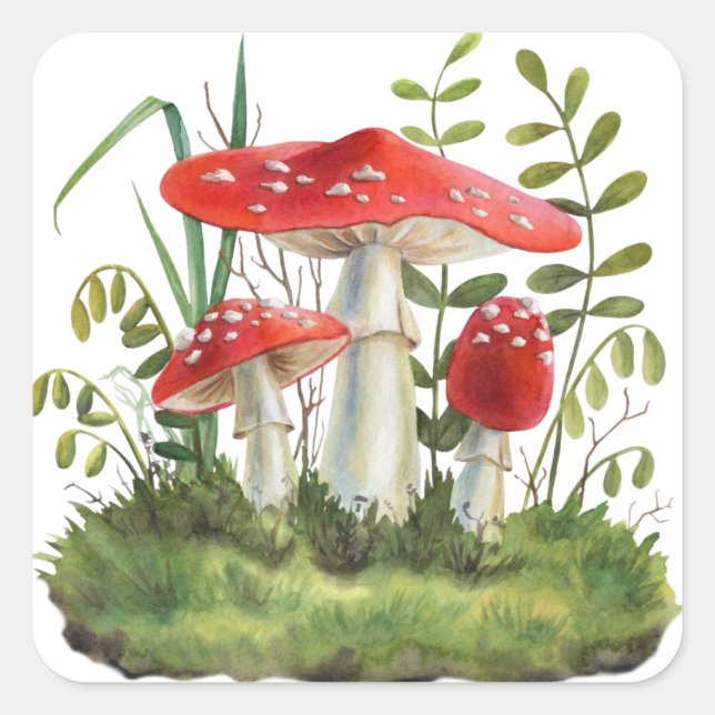 Pilze und Pflanze aus dem Roten Wald Quadratischer Aufkleber (Vorderseite)
