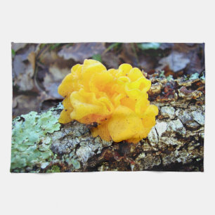 PilzeTremella Mesenterica Tee-Tuch Küchentuch