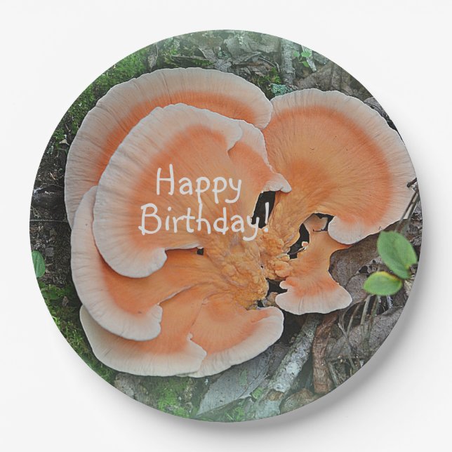 Pilzfroh zum Geburtstag Pappteller (Vorderseite)