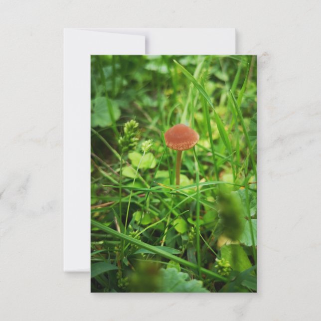 Pilzgrusskarte Karte (Vorderseite)