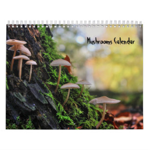 Pilzkalender Kalender