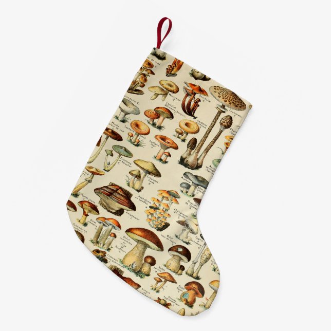 Pilzkollektion    kleiner weihnachtsstrumpf (Vorderansicht (hängend))