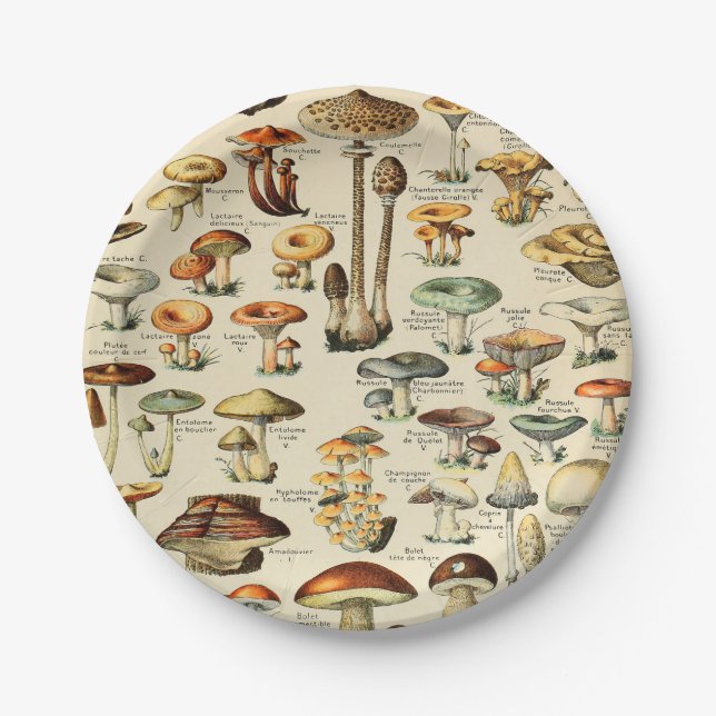 Pilzsammlung Pappteller (Vorderseite)