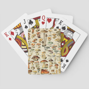 Pilzsammlung Spielkarten