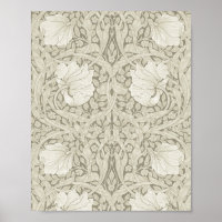Pimpernel Ivory, William Morris