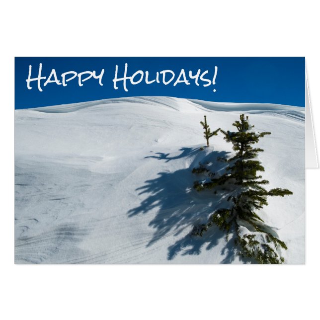 Pin à neige (Devant horizontal)