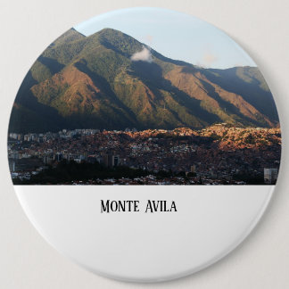 pin button