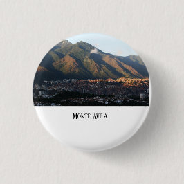 Pin Button