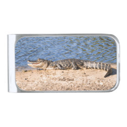 Pince À Billets Argentée Personnaliser l'Alligator sunning au lac