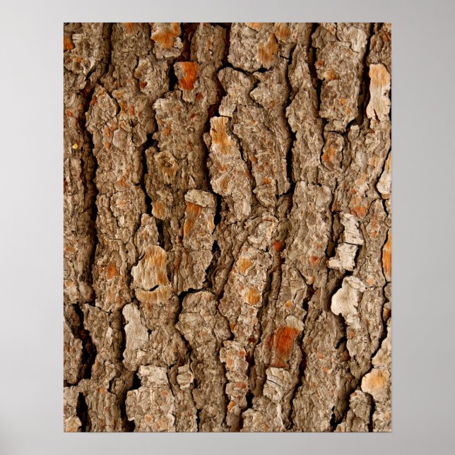 Pine Bark Abstrakt Poster (Vorne)