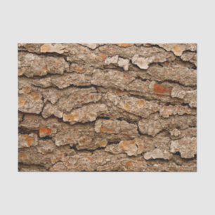 Pine Bark Texture Seidenpapier