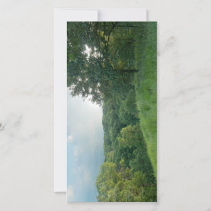 Pine Bend Bluff mit Blick auf die Wälder des Tals