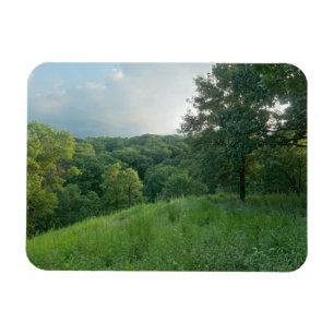 Pine Bend Bluff mit Blick auf die Wälder des Tals Magnet