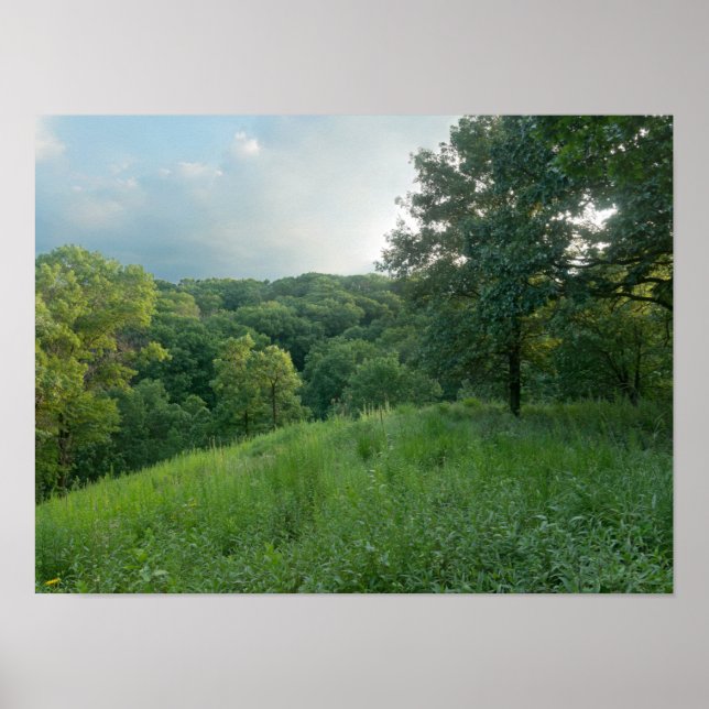 Pine Bend Bluff mit Blick auf die Wälder des Tals Poster (Vorne)