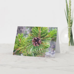 Pine Cone aus Lodgepole Pine Note Card Dankeskarte