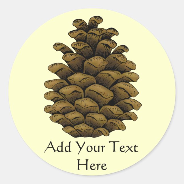 Pine cone Illustration Runder Aufkleber (Vorderseite)