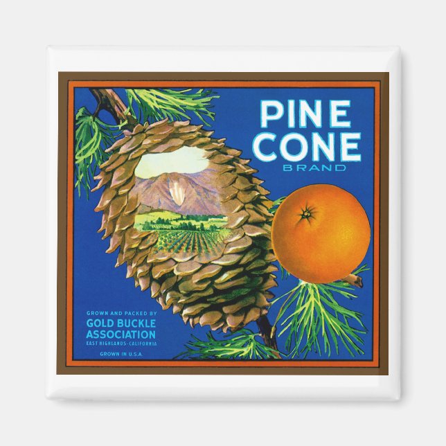 Pine Cone Orange Magnet (Vorne)