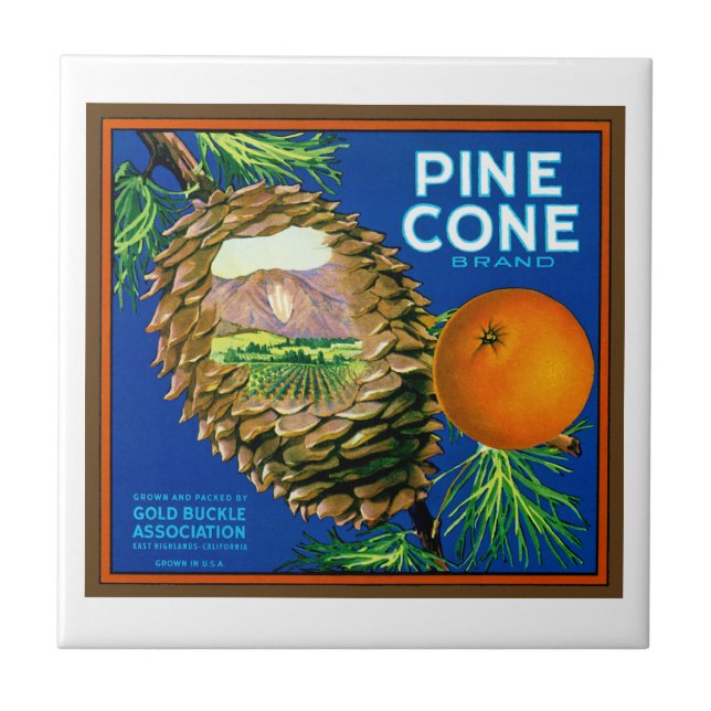 Pine Cone Orangen Fliese (Vorderseite)