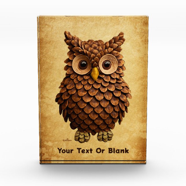Pine Cone Owl Fotoblock (Vorderseite)