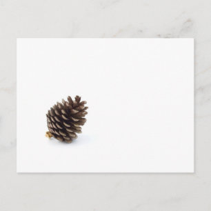 Pine Cone Postkarte