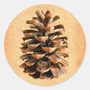 Pine Cone Runder Aufkleber