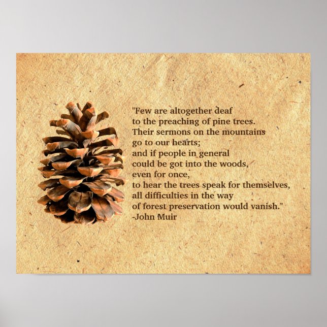 Pine Cone und John Muir Zitat Poster (Vorne)