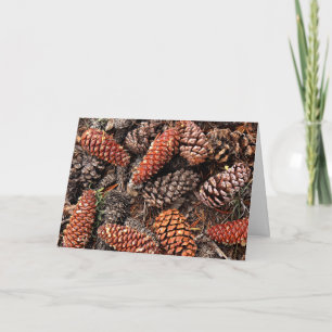 Pine Cones Karte