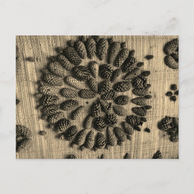 Pine Cones mandala retro photo Carte postale (Devant)