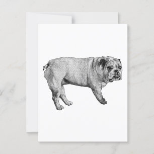 Pine-Edge-Postkarte Postkarte