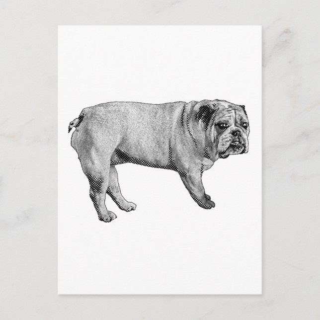 Pine-Edge-Postkarte Postkarte (Vorderseite)