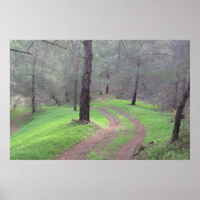 Pine Forest Road Poster (Vorne)