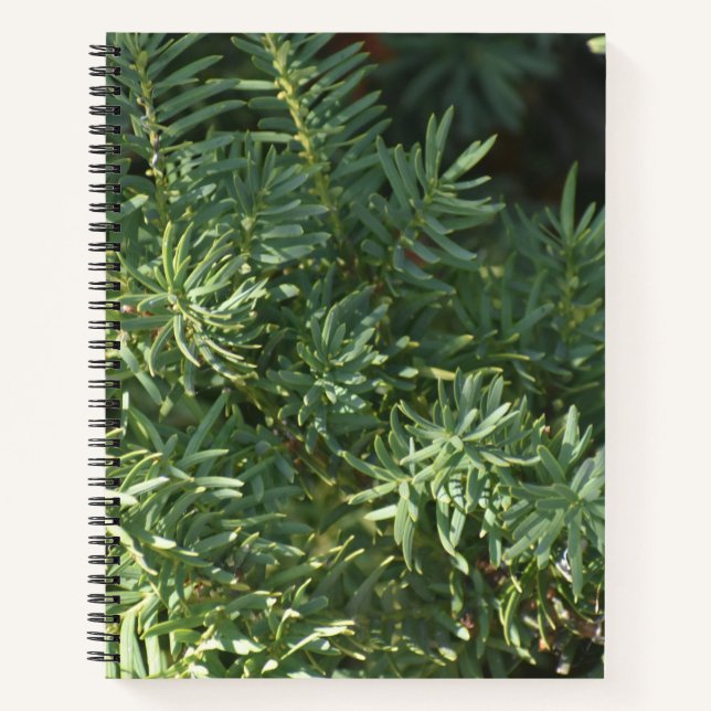 Pine Forest Spirale Notebook Notizbuch (Vorderseite)