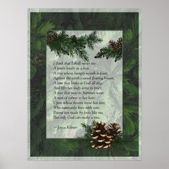 Pine Forest Trees Poster Print (Vorne)