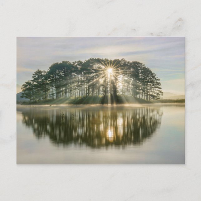 Pine Island Sunray Postkarte (Vorderseite)