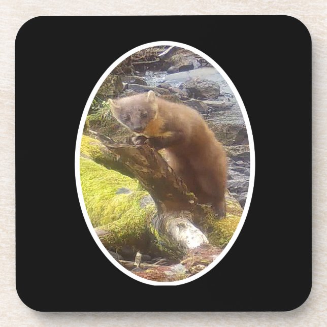 Pine Marten auf dem 6-Untersetzer-Set "Blockharz" Getränkeuntersetzer (Vorderseite)