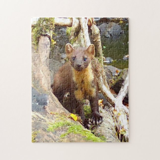 Pine Marten auf Log Editable (Vertikal)