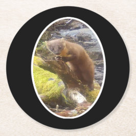 Pine Marten auf Log Paper Untersetzer
