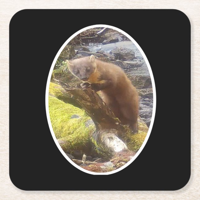 Pine Marten auf Log Paper Untersetzer (Vorderseite)