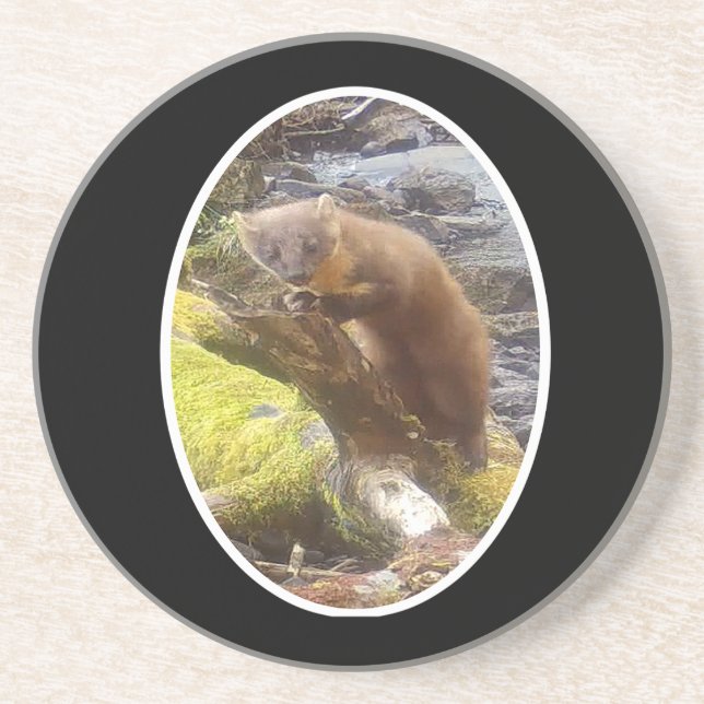 Pine Marten auf Log Sandstone Untersetzer (Vorne)