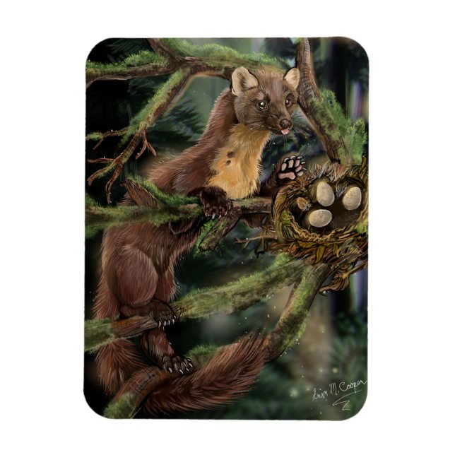Pine Marten Magnet (Vertikal)