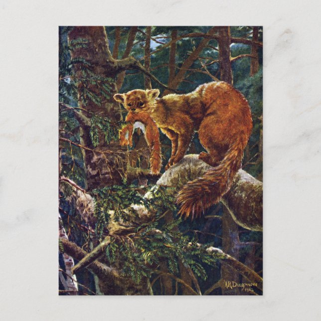 Pine Marten mit Prey Postkarte (Vorderseite)