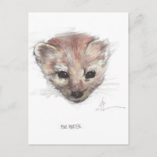 Pine Marten Postcard Postkarte